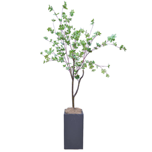 ドウダンツツジ 人工観葉植物 フェイクグリーン 造花 光触媒 鉢付 軽量セメント ファイバーセメント インテリア おしゃれ お祝い 消臭 DZ112 送料無料