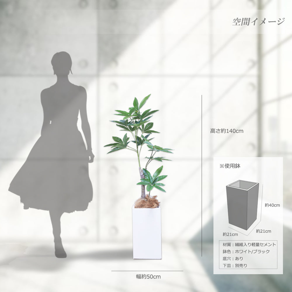 スリムパキラ 140cm 人工観葉植物　フェイクグリーン  観葉植物 造花 光触媒 鉢付 軽量セメント ファイバーセメント フェイク グリーン インテリア おしゃれ お祝い 消臭 FCS112A 送料無料