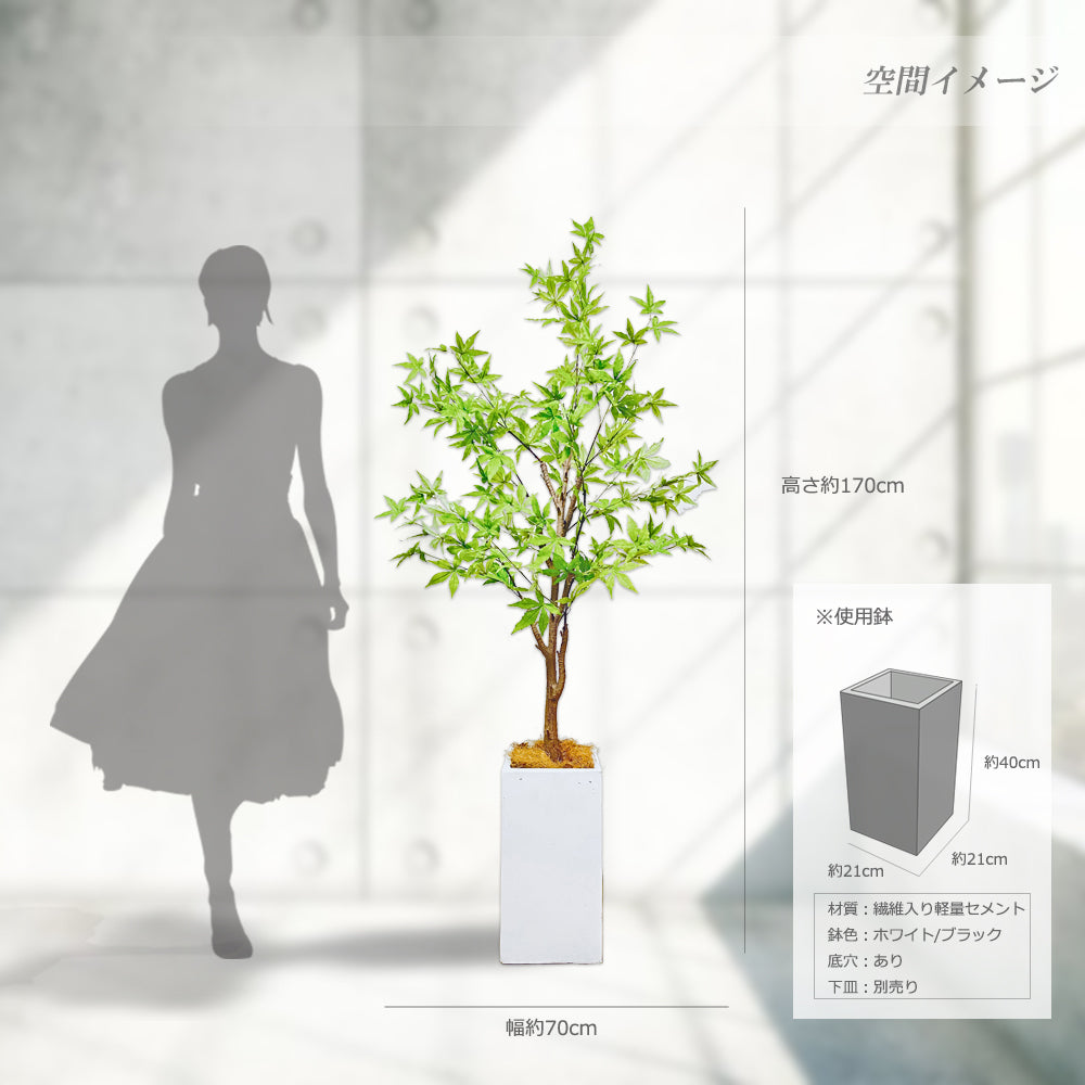 モミジ  紅葉 170ｃｍ 人工観葉植物　フェイクグリーン  観葉植物 造花 光触媒 鉢付 軽量セメント ファイバーセメント フェイク グリーン インテリア おしゃれ お祝い 消臭  FS112 送料無料