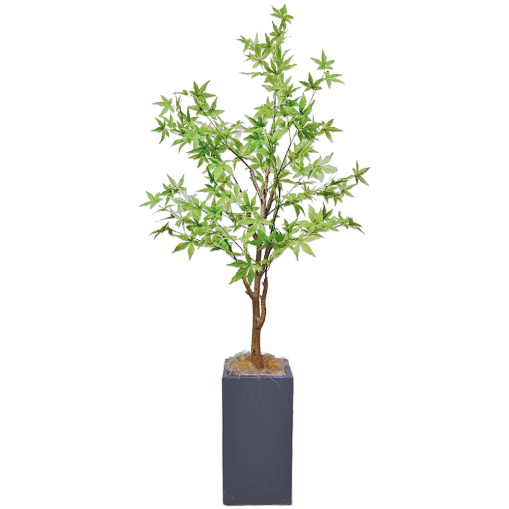 モミジ  紅葉 170ｃｍ 人工観葉植物　フェイクグリーン  観葉植物 造花 光触媒 鉢付 軽量セメント ファイバーセメント フェイク グリーン インテリア おしゃれ お祝い 消臭  FS112 送料無料