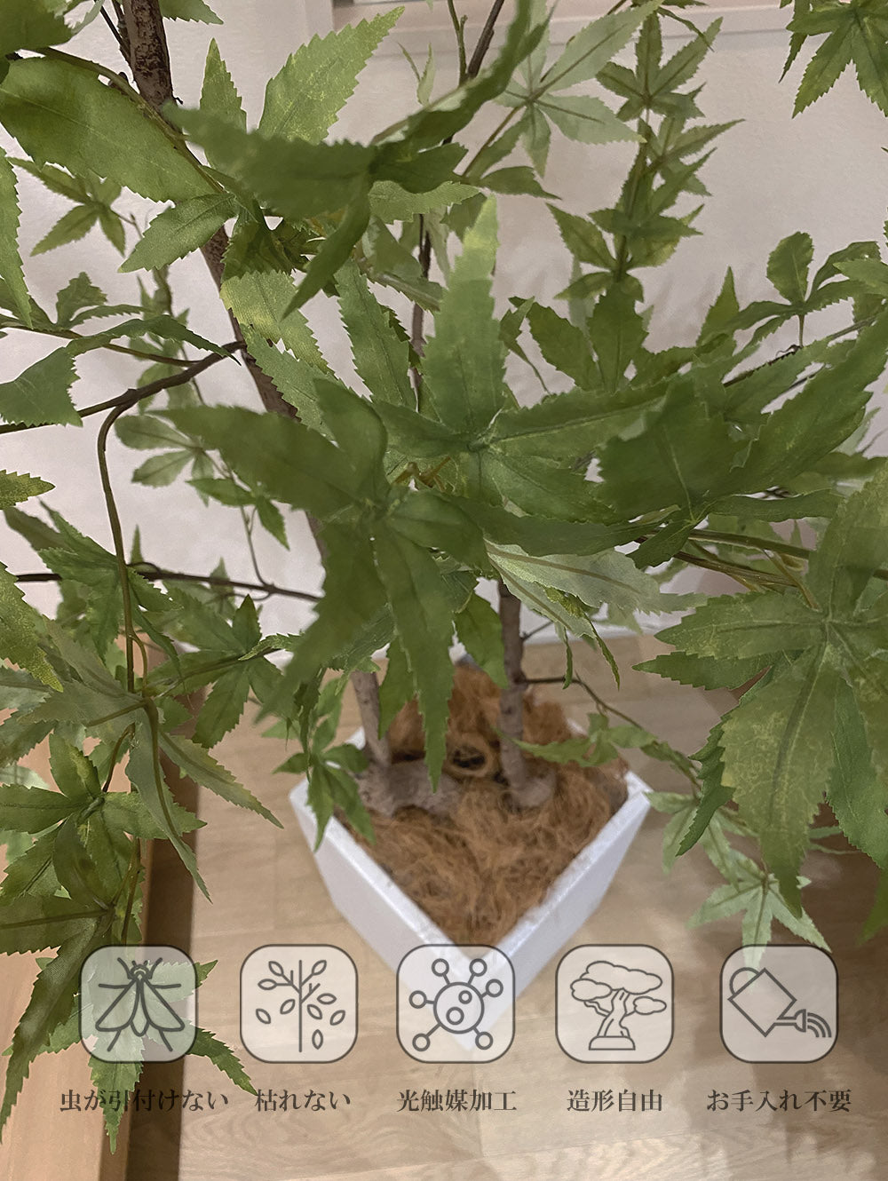 モミジ 紅葉 特大 180cm 人工観葉植物 フェイクグリーン  観葉植物 造花 光触媒 鉢付 軽量セメント ファイバーセメント　フェイク グリーン インテリア おしゃれ　お祝い 消臭 FS120 送料無料