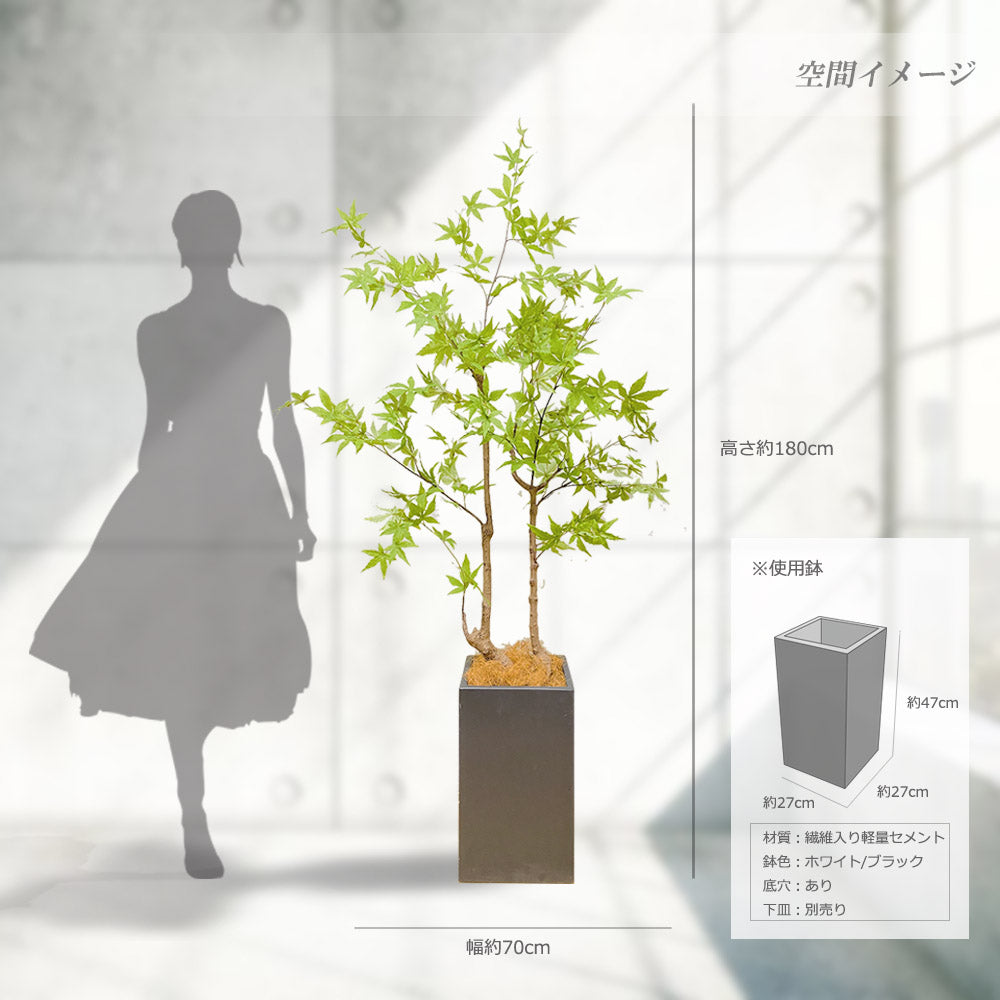 モミジ 紅葉 特大 180cm 人工観葉植物 フェイクグリーン  観葉植物 造花 光触媒 鉢付 軽量セメント ファイバーセメント　フェイク グリーン インテリア おしゃれ　お祝い 消臭 FS120 送料無料