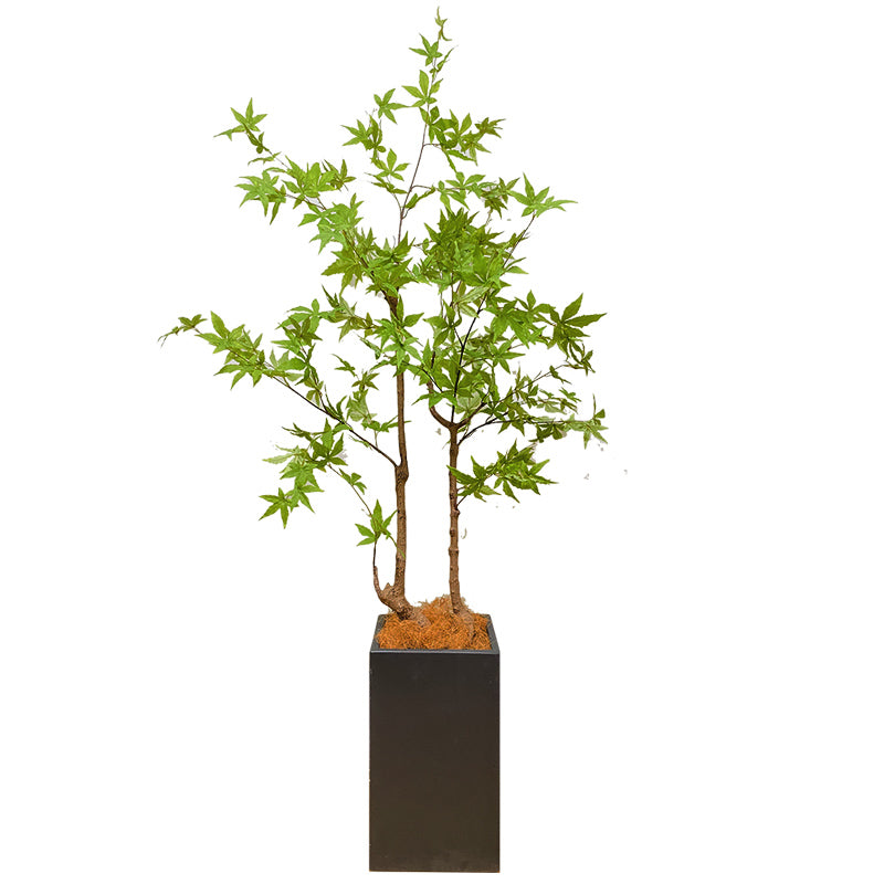 モミジ 紅葉 特大 180cm 人工観葉植物 フェイクグリーン  観葉植物 造花 光触媒 鉢付 軽量セメント ファイバーセメント　フェイク グリーン インテリア おしゃれ　お祝い 消臭 FS120 送料無料