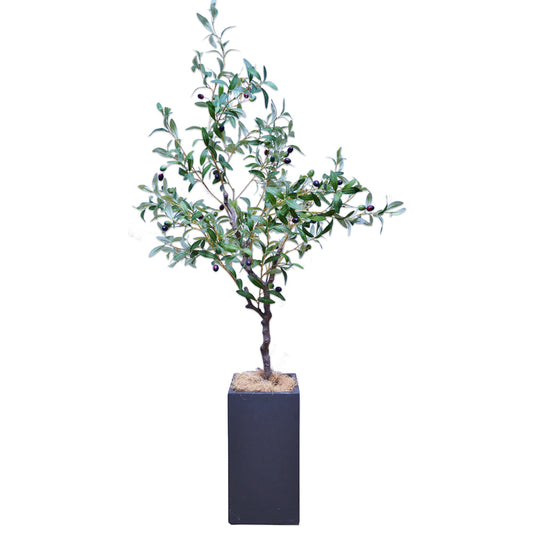 オリーブの木 160cm 人工観葉植物 フェイクグリーン  観葉植物 造花 光触媒 鉢付 軽量セメント ファイバーセメント フェイク グリーン インテリア おしゃれ お祝い 消臭 GLS112 送料無料