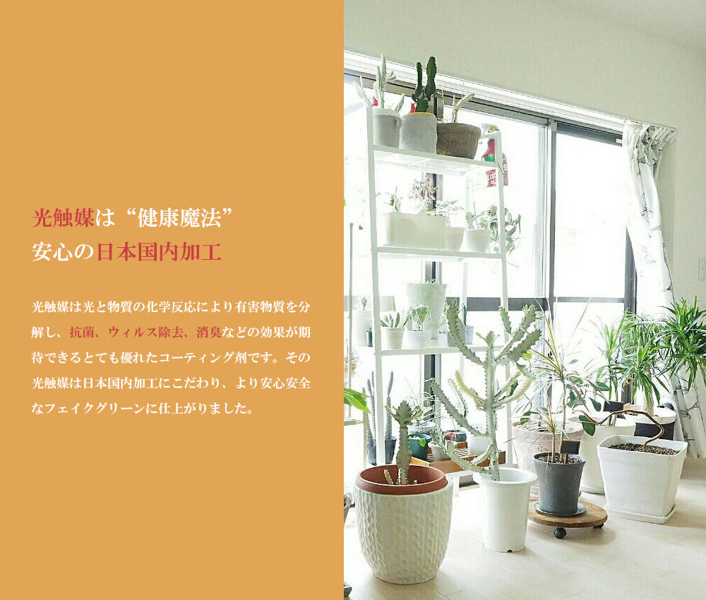 モンステラ ホウライショウ 190cm 特大 人工観葉植物 フェイクグリーン  観葉植物 造花 光触媒 鉢付 軽量セメント ファイバーセメント フェイク グリーン インテリア おしゃれ お祝い 消臭 GBY170 送料無料