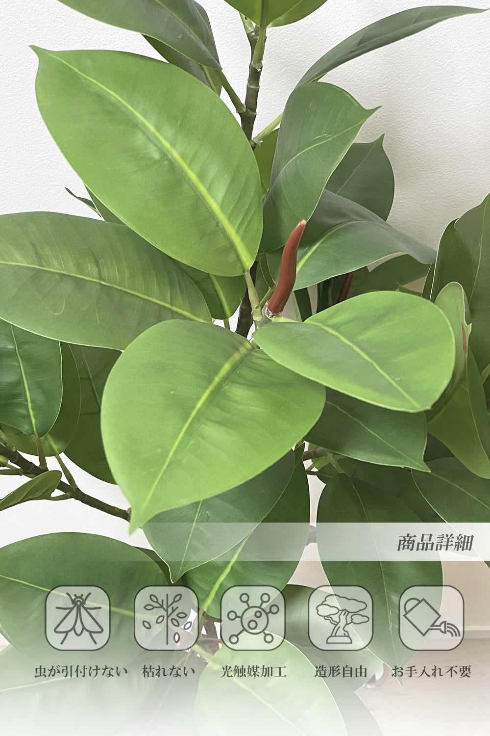 ゴムの木 人工観葉植物 フェイクグリーン 造花 光触媒 鉢付 軽量セメント ファイバーセメント インテリア おしゃれ お祝い 消臭 XPS112 送料無料