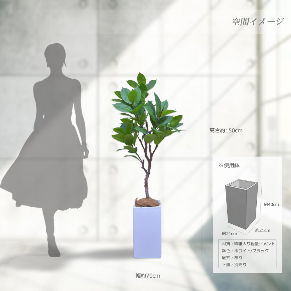 ゴムの木 人工観葉植物 フェイクグリーン 造花 光触媒 鉢付 軽量セメント ファイバーセメント インテリア おしゃれ お祝い 消臭 XPS112 送料無料