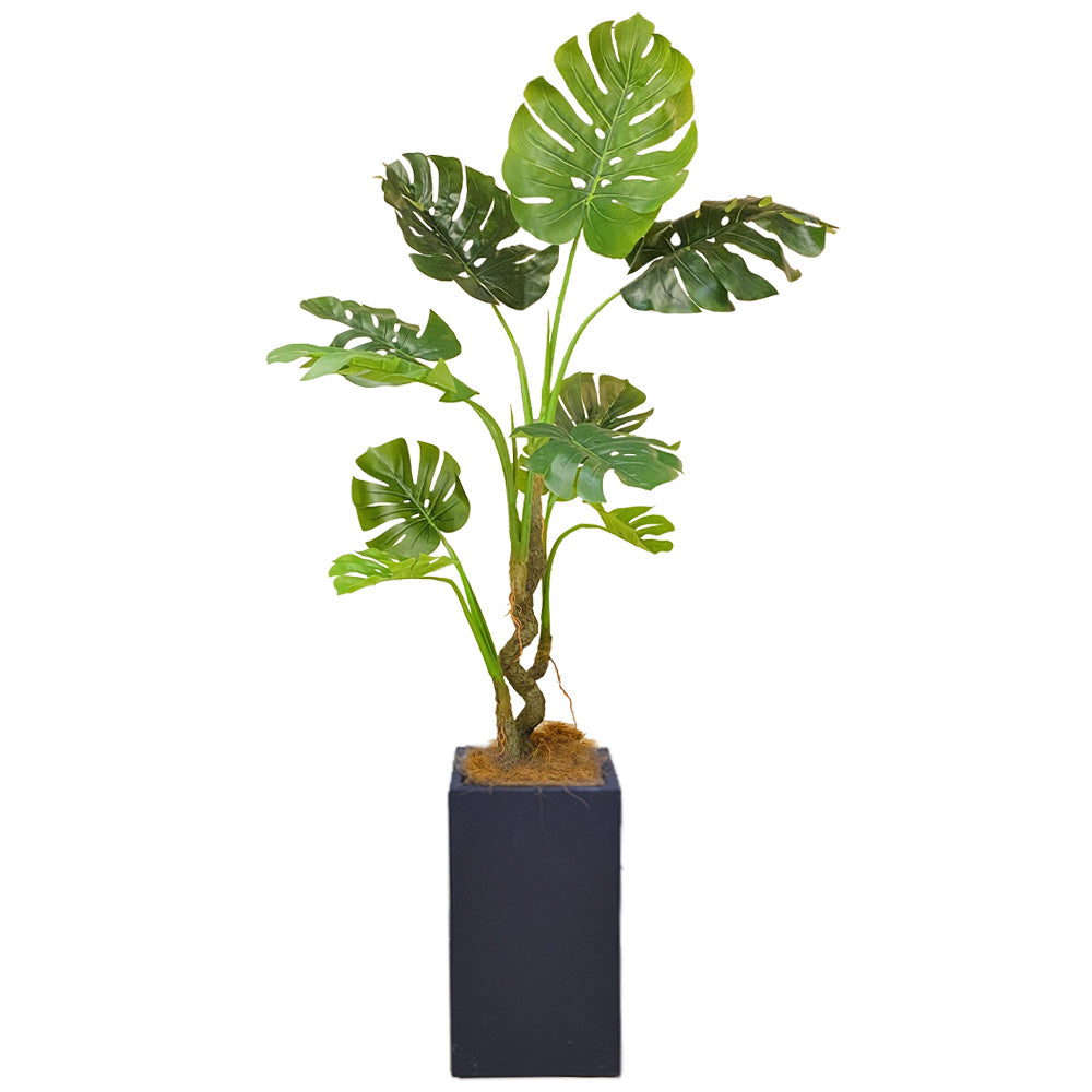 モンステラ ホウライショウ 170cm 大型 人工観葉植物 フェイクグリーン  観葉植物 造花 光触媒 鉢付 軽量セメント ファイバーセメント　フェイク グリーン インテリア おしゃれ　お祝い 消臭 GBY140 送料無料