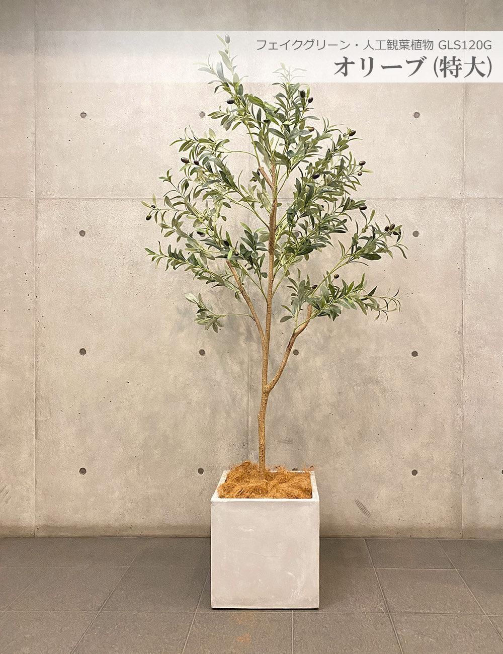 オリーブの木 200cm 特大 人工観葉植物 フェイクグリーン  観葉植物 造花 光触媒 鉢付 軽量セメント ファイバーセメント　フェイク グリーン インテリア おしゃれ　お祝い 消臭 GLS140 送料無料