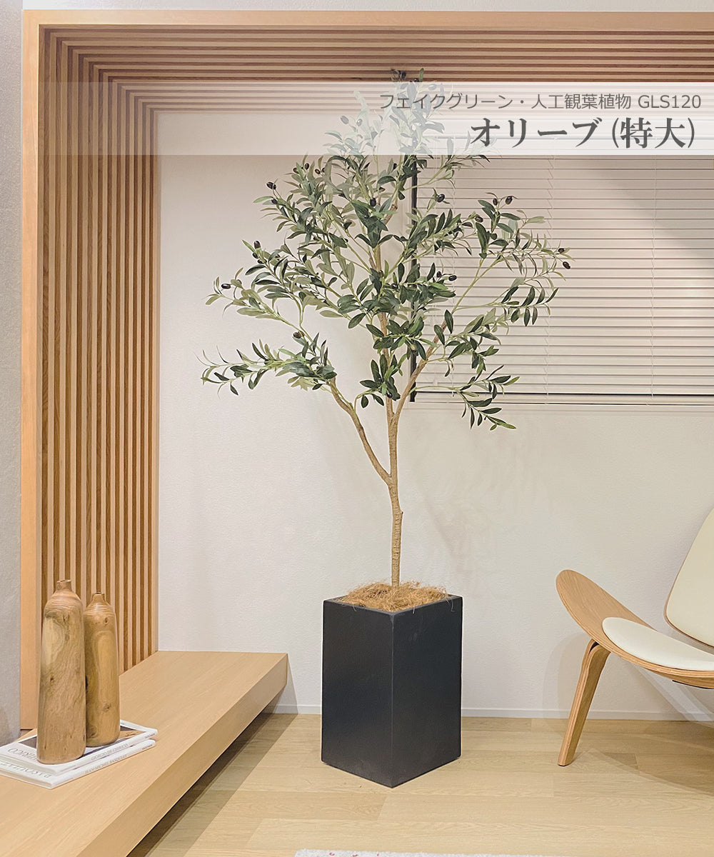 オリーブの木 200cm 特大 人工観葉植物 フェイクグリーン  観葉植物 造花 光触媒 鉢付 軽量セメント ファイバーセメント　フェイク グリーン インテリア おしゃれ　お祝い 消臭 GLS120 送料無料