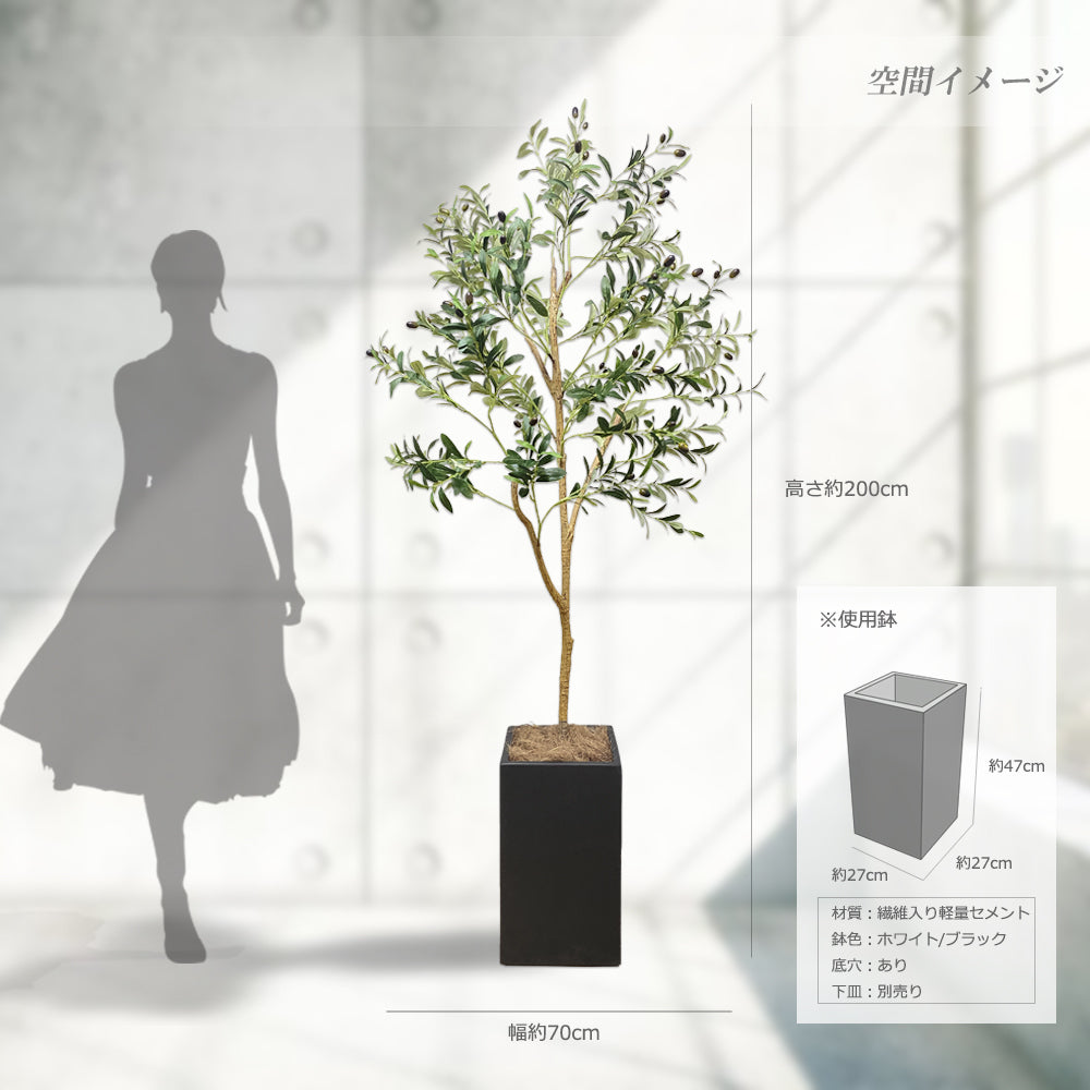 オリーブの木 200cm 特大 人工観葉植物 フェイクグリーン  観葉植物 造花 光触媒 鉢付 軽量セメント ファイバーセメント　フェイク グリーン インテリア おしゃれ　お祝い 消臭 GLS120 送料無料