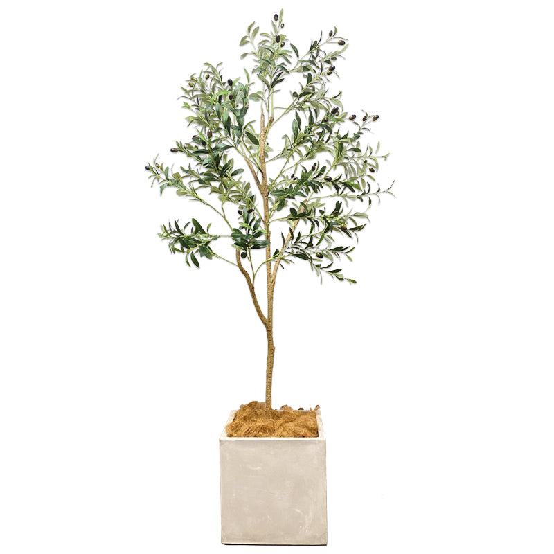オリーブの木 200cm 特大 人工観葉植物 フェイクグリーン  観葉植物 造花 光触媒 鉢付 軽量セメント ファイバーセメント　フェイク グリーン インテリア おしゃれ　お祝い 消臭 GLS140 送料無料