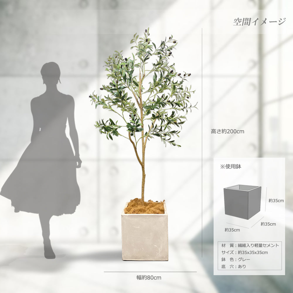オリーブの木 200cm 特大 人工観葉植物 フェイクグリーン  観葉植物 造花 光触媒 鉢付 軽量セメント ファイバーセメント　フェイク グリーン インテリア おしゃれ　お祝い 消臭 GLS140 送料無料