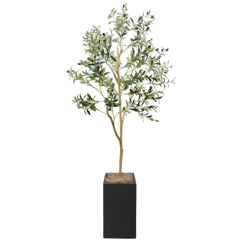 オリーブの木 200cm 特大 人工観葉植物 フェイクグリーン  観葉植物 造花 光触媒 鉢付 軽量セメント ファイバーセメント　フェイク グリーン インテリア おしゃれ　お祝い 消臭 GLS120 送料無料