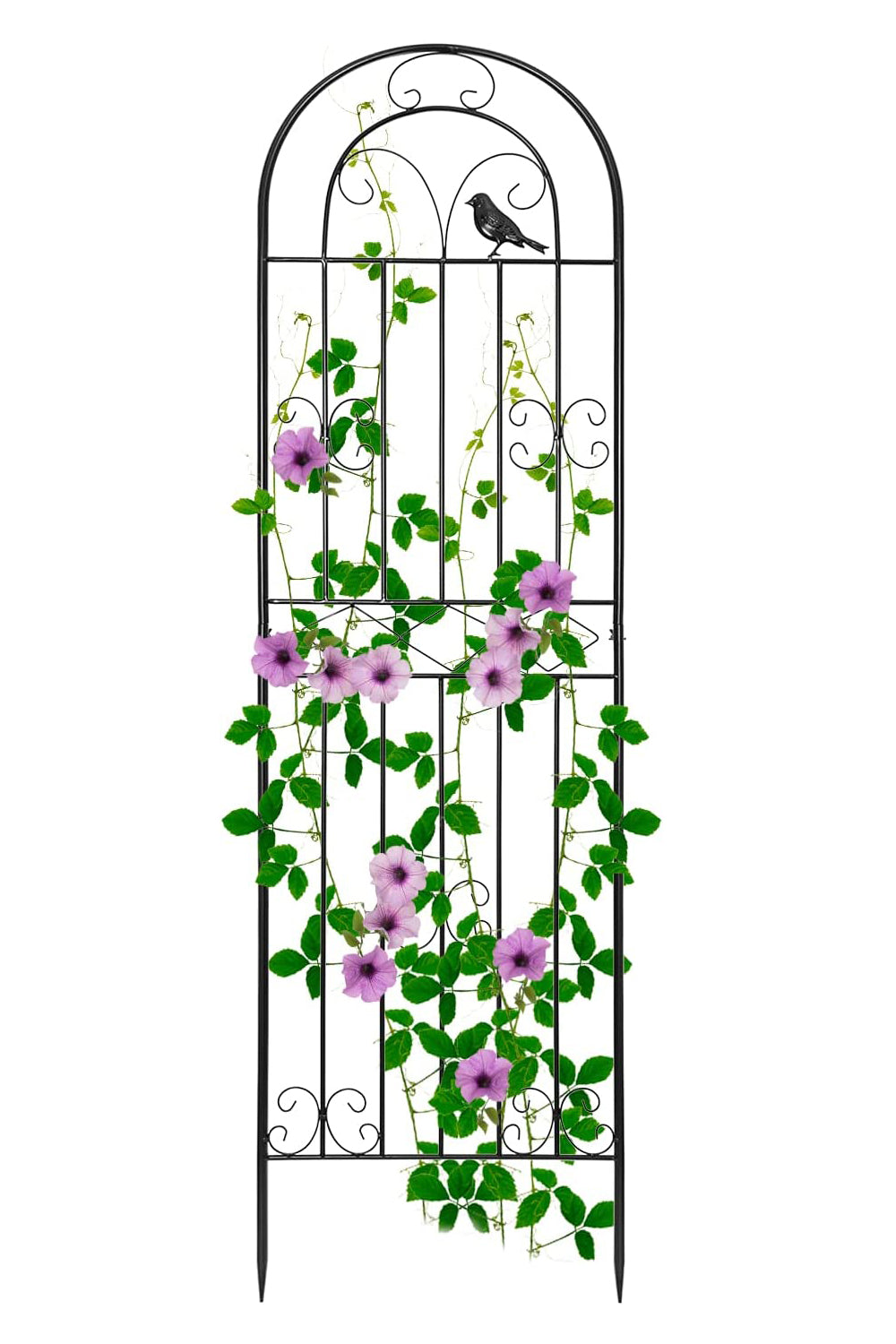 パーゴラ  ガーデンフェンス アイアン ローズフェンス ガーデニング用支柱 つる花錬鉄 園芸支柱 防錆 簡単組立式 2枚セット送料無料