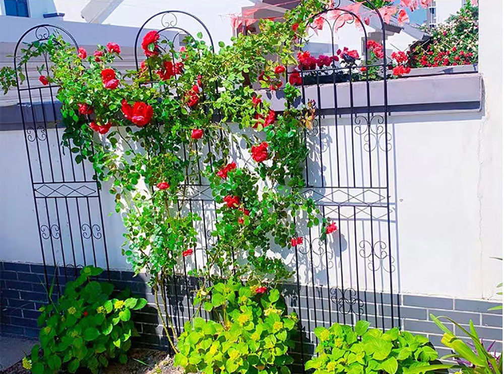パーゴラ  ガーデンフェンス アイアン ローズフェンス ガーデニング用支柱 つる花錬鉄 園芸支柱 防錆 簡単組立式 2枚セット送料無料
